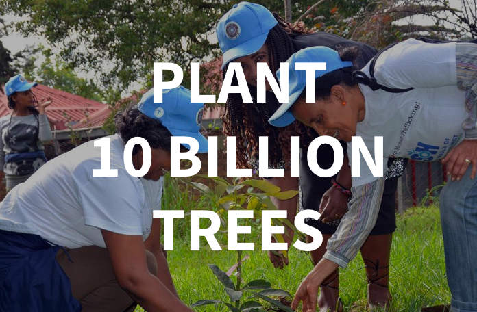 Plant 10 billion trees